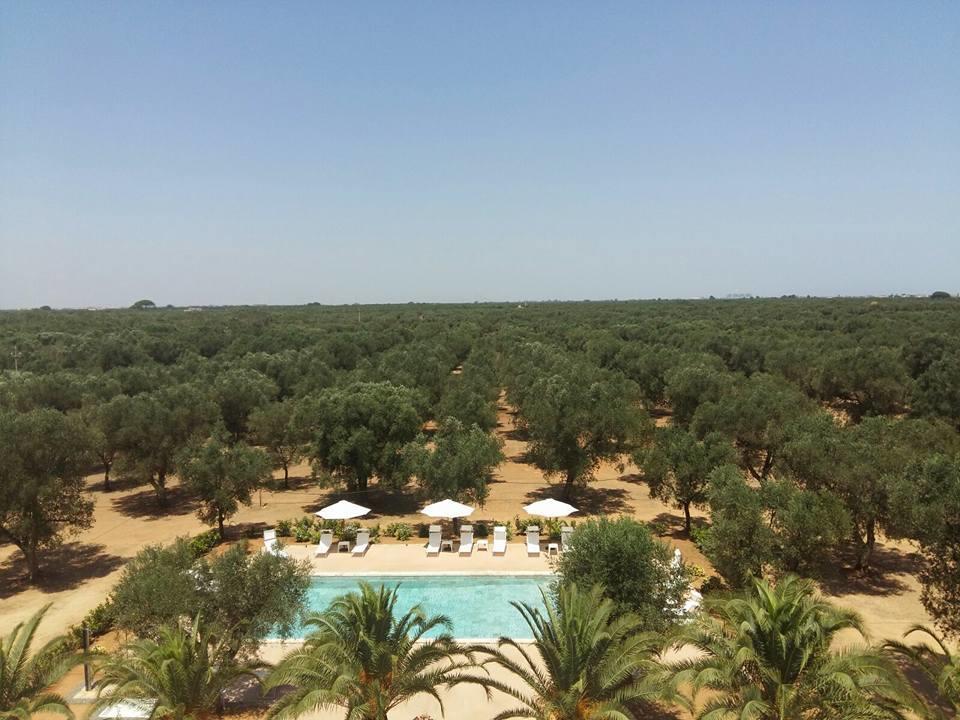 Tenuta Afra Squinzano Exterior photo